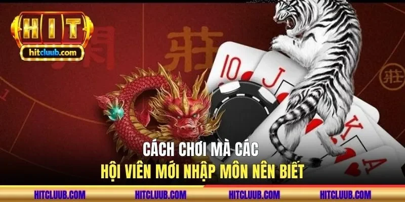 Cách chơi mà các hội viên mới nhập môn nên biết