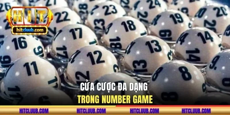 Cửa cược đa dạng trong Number Game
