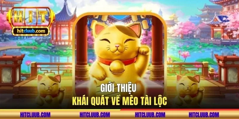 Giới thiệu khái quát về mèo tài lộc