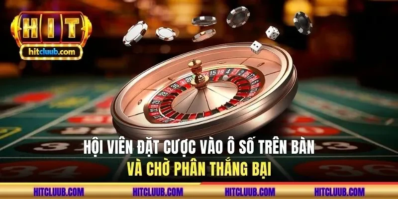 Hội viên đặt cược vào ô số trên bàn và chờ phân thắng bại