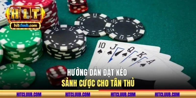 Hướng dẫn đặt kèo sảnh cược cho tân thủ