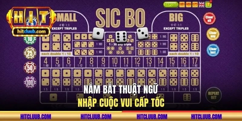 Nắm bắt thuật ngữ nhập cuộc vui cấp tốc